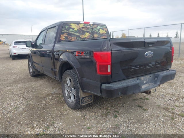 Продаж на аукціоні авто 2019 Ford F150 Supercrew, vin: 1FTEW1E56KFD05162, номер лоту: 12721234