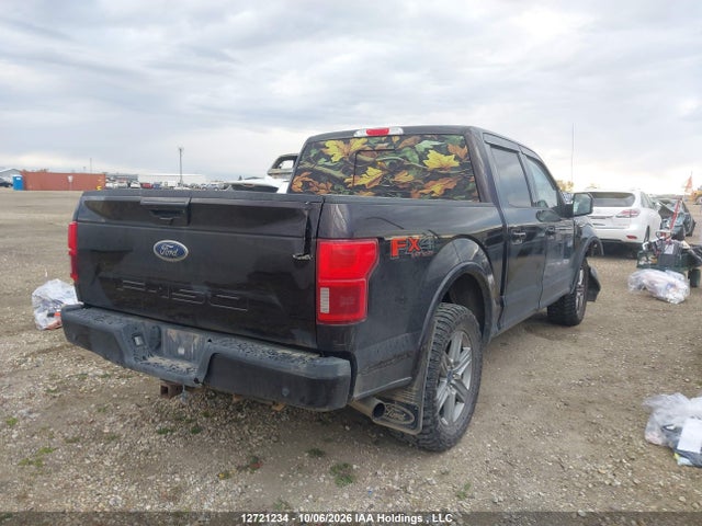 Продаж на аукціоні авто 2019 Ford F150 Supercrew, vin: 1FTEW1E56KFD05162, номер лоту: 12721234