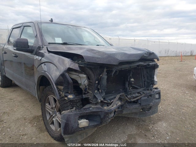 Продаж на аукціоні авто 2019 Ford F150 Supercrew, vin: 1FTEW1E56KFD05162, номер лоту: 12721234