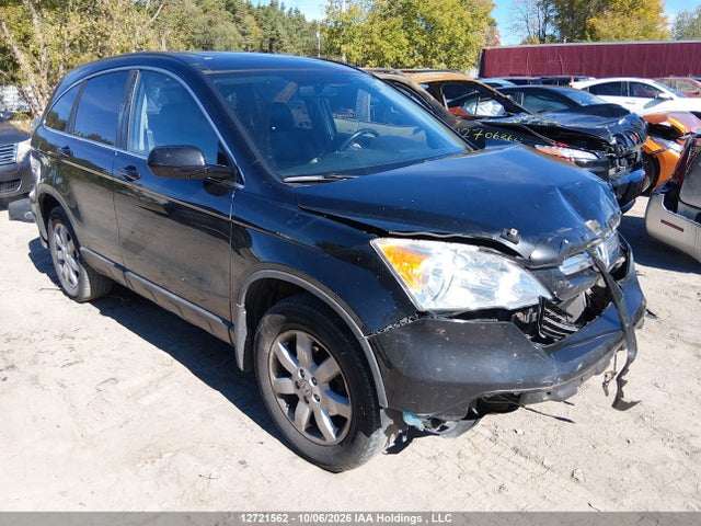 Продаж на аукціоні авто 2009 Honda Cr-v Exl, vin: 5J6RE48719L809188, номер лоту: 12721562