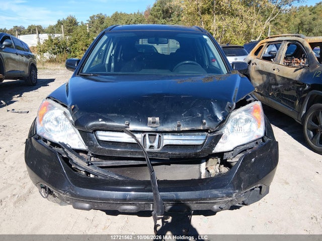 Продаж на аукціоні авто 2009 Honda Cr-v Exl, vin: 5J6RE48719L809188, номер лоту: 12721562