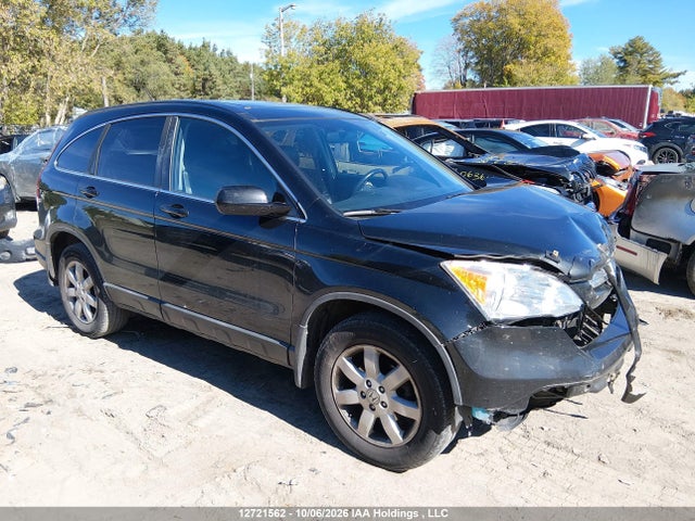 Продаж на аукціоні авто 2009 Honda Cr-v Exl, vin: 5J6RE48719L809188, номер лоту: 12721562