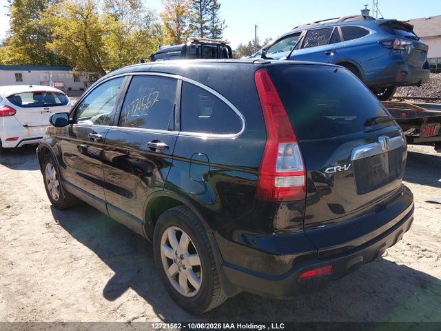Продаж на аукціоні авто 2009 Honda Cr-v Exl, vin: 5J6RE48719L809188, номер лоту: 12721562
