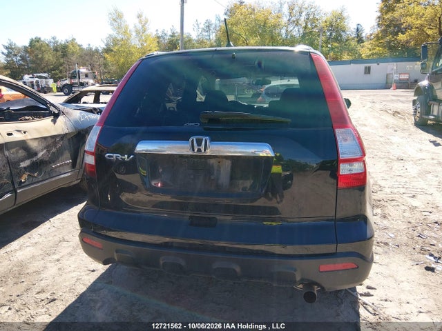 Продаж на аукціоні авто 2009 Honda Cr-v Exl, vin: 5J6RE48719L809188, номер лоту: 12721562