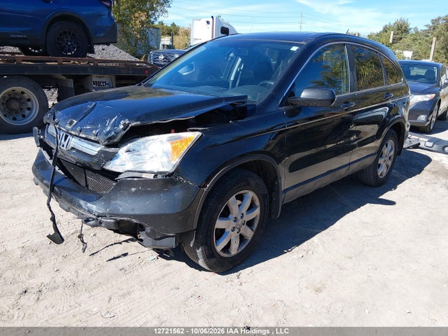 Продаж на аукціоні авто 2009 Honda Cr-v Exl, vin: 5J6RE48719L809188, номер лоту: 12721562