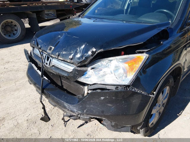Продаж на аукціоні авто 2009 Honda Cr-v Exl, vin: 5J6RE48719L809188, номер лоту: 12721562