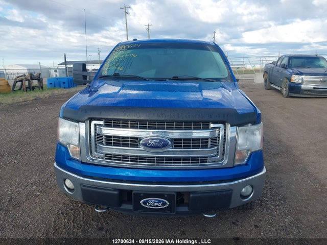 Продаж на аукціоні авто 2014 Ford F-150 Xlt, vin: 1FTEX1EM7EFB03813, номер лоту: 12700634
