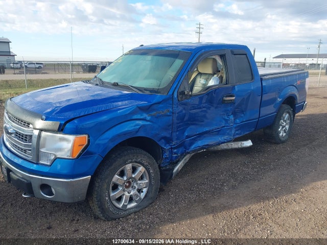 Продаж на аукціоні авто 2014 Ford F-150 Xlt, vin: 1FTEX1EM7EFB03813, номер лоту: 12700634