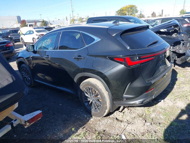 Auction sale of the 2025 Lexus Nx 250, vin: 2T2ADCEZ7SC006027, lot number: 12721796