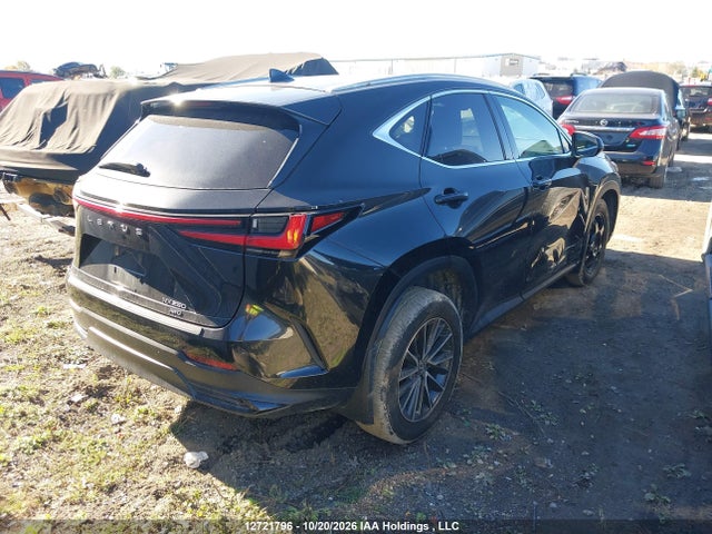 Auction sale of the 2025 Lexus Nx 250, vin: 2T2ADCEZ7SC006027, lot number: 12721796