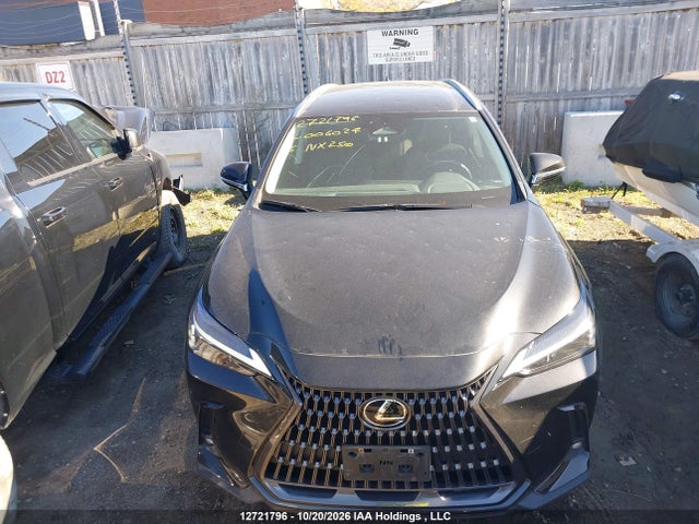 Auction sale of the 2025 Lexus Nx 250, vin: 2T2ADCEZ7SC006027, lot number: 12721796