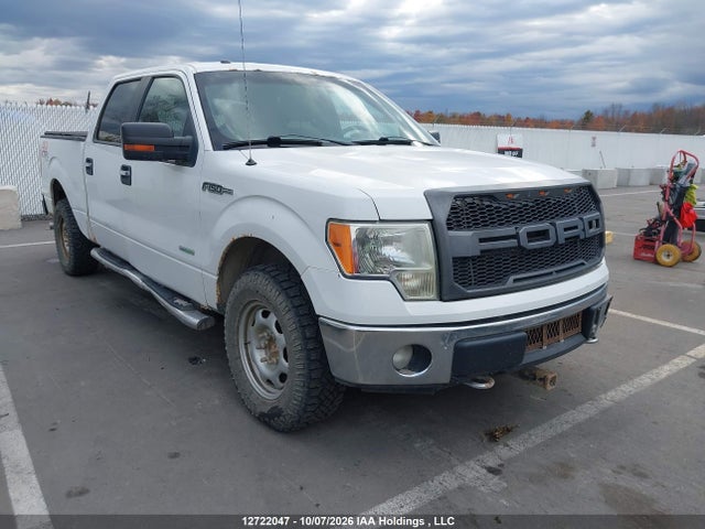 12722047 :رقم المزاد ، 1FTFW1ET7DFC29568 vin ، 2013 Ford F-150 مزاد بيع