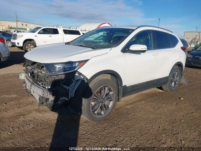 Honda Cr-v Ex-l 2020 2HKRW2H80LH233492 Image 2