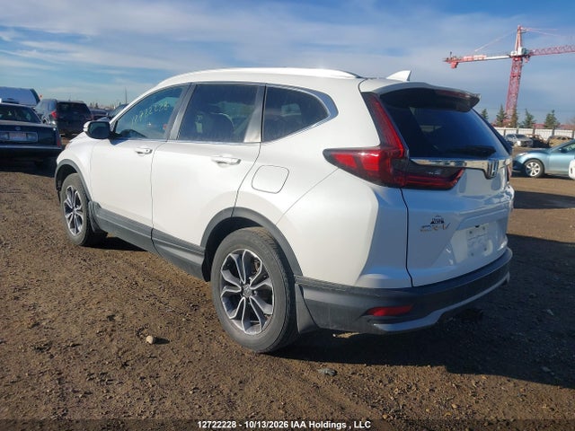 Honda Cr-v Ex-l 2020 2HKRW2H80LH233492 Image 3