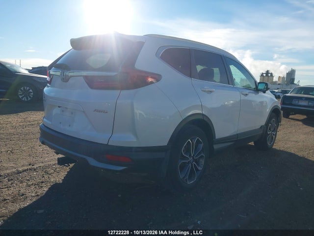 Honda Cr-v Ex-l 2020 2HKRW2H80LH233492 Image 4