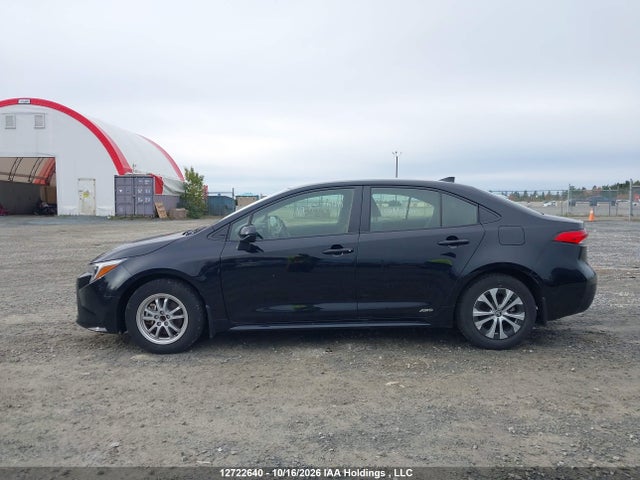 2023 Toyota Corolla Hybrid Le მანქანა იყიდება აუქციონზე, vin: JTDBDMHE0P3003798, აუქციონის ნომერი: 12722640