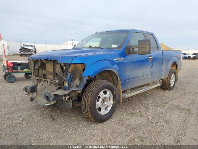 Aukcja sprzedaży 2012 Ford F-150 Xlt, vin: 1FTFX1EF1CFA49413, numer aukcji: 12722841