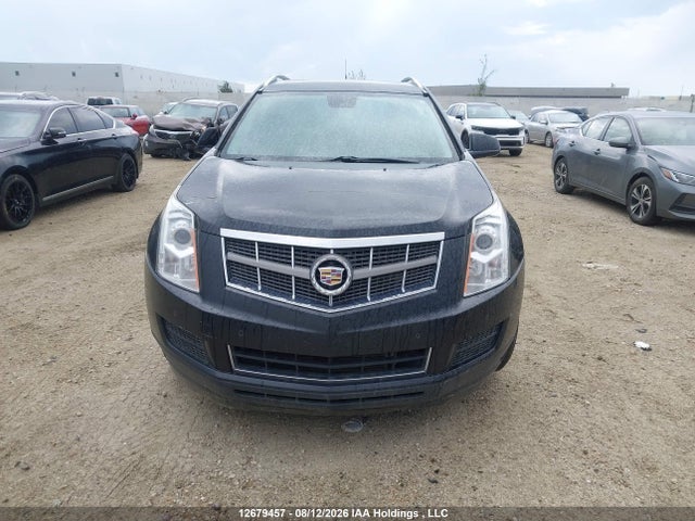 Aukcja sprzedaży 2011 Cadillac Srx Luxury Collection, vin: 3GYFNDEY6BS587084, numer aukcji: 12679457