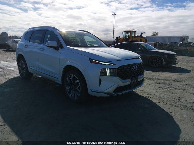 Hyundai Santa Fe Ultimate Calligraphy 2022 5NMS5DAL3NH377780 главное изображение