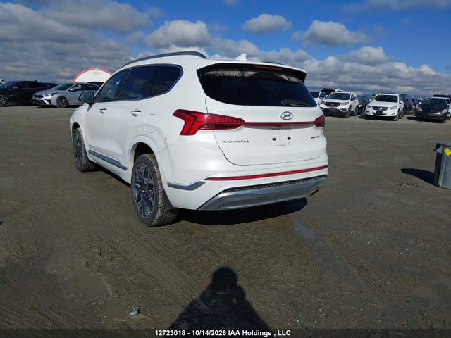 Hyundai Santa Fe Ultimate Calligraphy 2022 5NMS5DAL3NH377780 Image 3