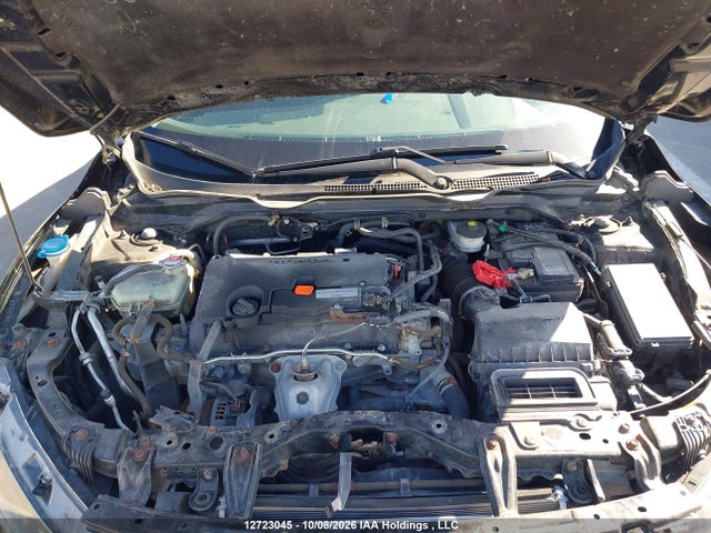 2HGFC2F50KH036562 Honda Civic Lx