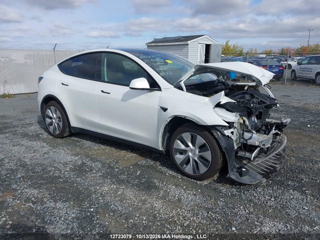 Продажа на аукционе авто 2023 Tesla Model Y Long Range, vin: 7SAYGDEE5PF779971, номер лота: 12723079