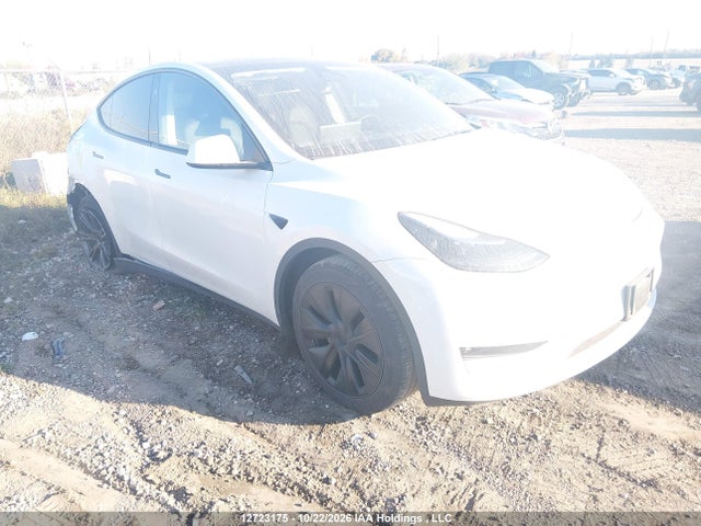 12723175 :رقم المزاد ، 7SAYGDEE0RF212246 vin ، 2024 Tesla Model Y Long Range مزاد بيع