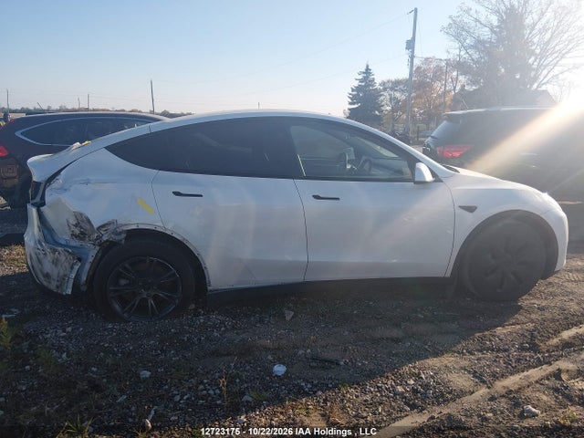 12723175 :رقم المزاد ، 7SAYGDEE0RF212246 vin ، 2024 Tesla Model Y Long Range مزاد بيع