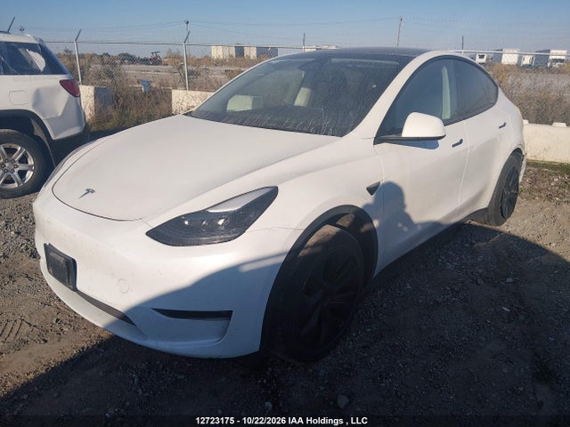 12723175 :رقم المزاد ، 7SAYGDEE0RF212246 vin ، 2024 Tesla Model Y Long Range مزاد بيع