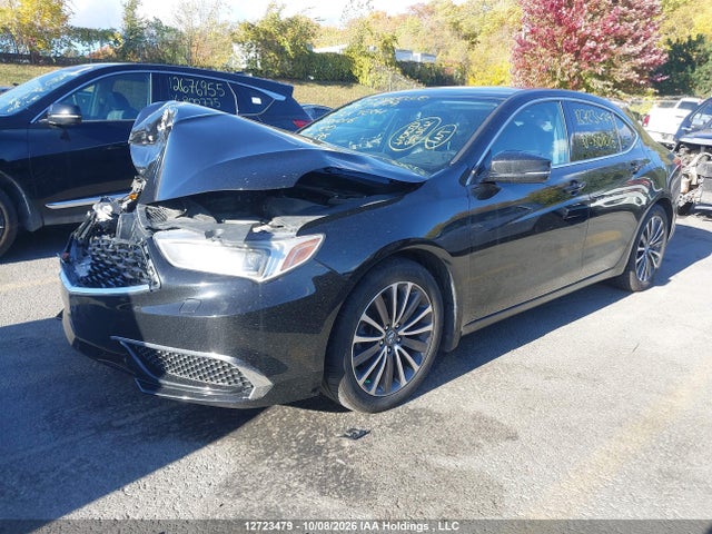 Auction sale of the 2019 Acura Tlx Tech, vin: 19UUB3F5XKA801016, lot number: 12723479