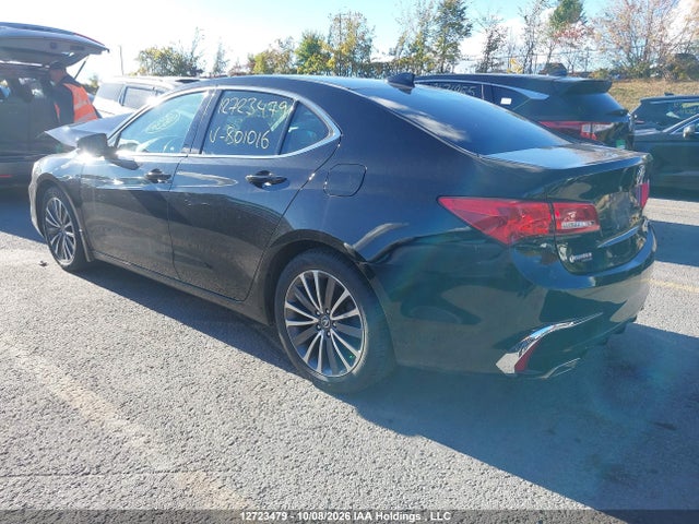 Auction sale of the 2019 Acura Tlx Tech, vin: 19UUB3F5XKA801016, lot number: 12723479
