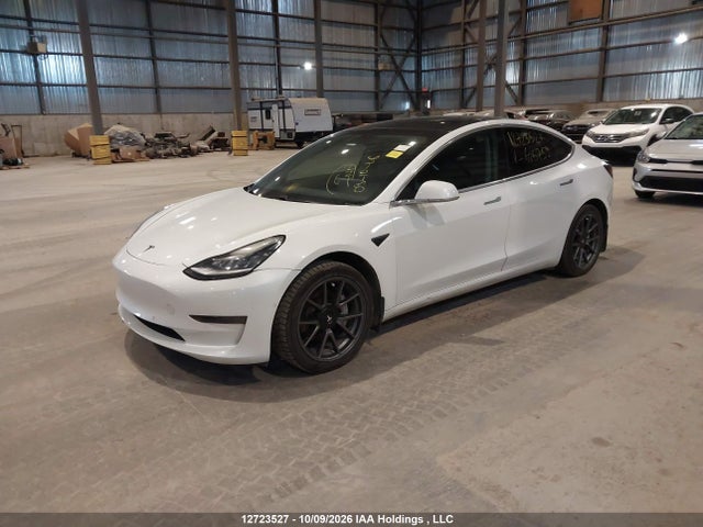 2020 Tesla Model 3 მანქანა იყიდება აუქციონზე, vin: 5YJ3E1EA1LF625759, აუქციონის ნომერი: 12723527