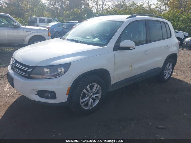 WVGJV7AX8GW616378 Volkswagen Tiguan Comfortline/highline/special Edition
