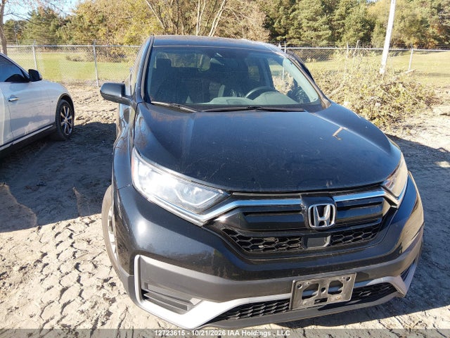 Honda CR-V LX 2020 2HKRW1H25LH000634 Image 12