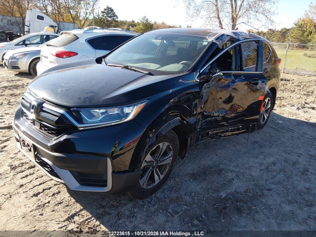 Honda CR-V LX 2020 2HKRW1H25LH000634 Image 2