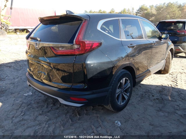 Honda CR-V LX 2020 2HKRW1H25LH000634 Image 4