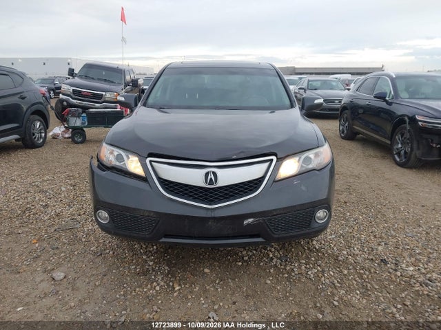 12723899 :رقم المزاد ، 5J8TB4H39DL802209 vin ، 2013 Acura Rdx مزاد بيع