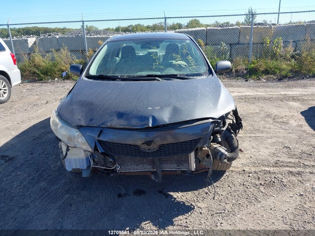 Aukcja sprzedaży 2010 Toyota Corolla Ce, vin: 2T1BU4EE8AC343199, numer aukcji: 12709561