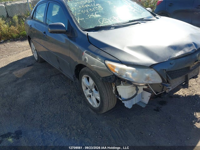 Aukcja sprzedaży 2010 Toyota Corolla Ce, vin: 2T1BU4EE8AC343199, numer aukcji: 12709561
