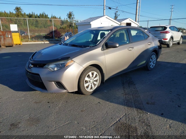 2T1BURHE1EC219354 Toyota Corolla L/le/le Pls/prm/s/s Pls