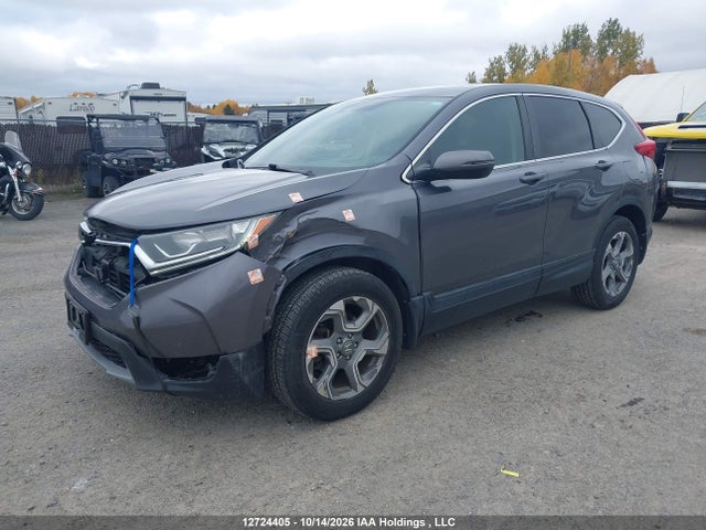 Honda CR-V 2019 2HKRW2H56KH111692 Image 2