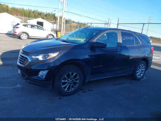 12724481 :رقم المزاد ، 2GNAXSEV7M6157769 vin ، 2021 Chevrolet Equinox Ls مزاد بيع