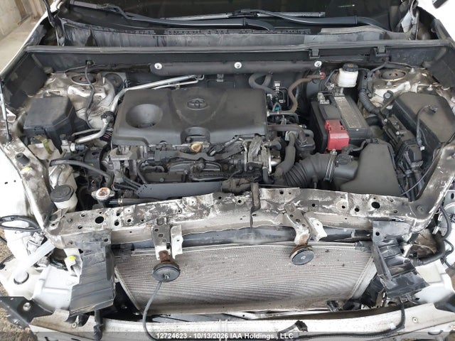 Toyota RAV4 LE 2019 2T3B1RFV8KW009444 Image 10