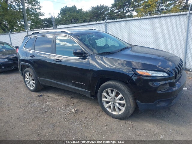 Jeep Cherokee Limited 2016 1C4PJMDS9GW249922 Image 14