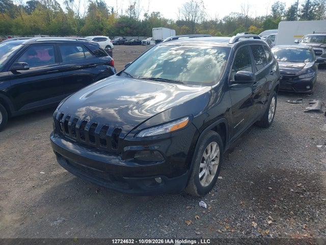 Jeep Cherokee Limited 2016 1C4PJMDS9GW249922 Image 2