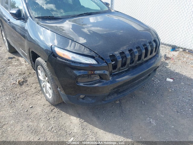Jeep Cherokee Limited 2016 1C4PJMDS9GW249922 Image 6