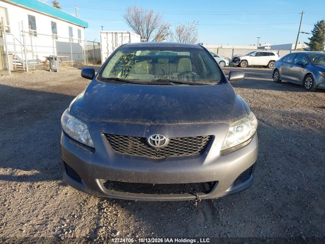 12724705 :رقم المزاد ، 2T1BU4EE3AC299869 vin ، 2010 Toyota Corolla S/le/xle مزاد بيع