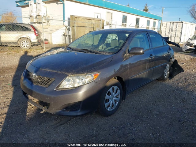 12724705 :رقم المزاد ، 2T1BU4EE3AC299869 vin ، 2010 Toyota Corolla S/le/xle مزاد بيع