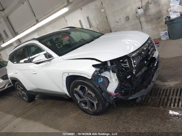 Hyundai Tucson 2024 KM8JCCD14RU168029 Image 14