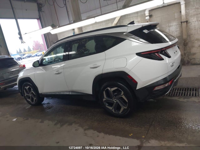 Hyundai Tucson 2024 KM8JCCD14RU168029 Image 15